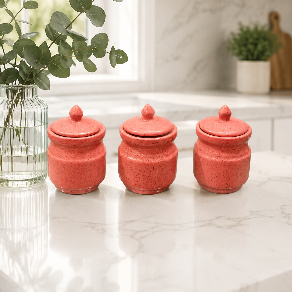 Premium Ceramic Pickle Jar Set with Metal Stand