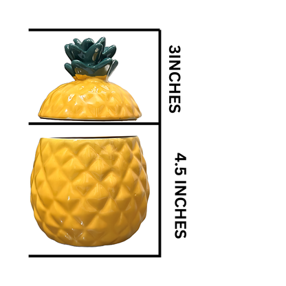 Utensil Master FOOD CONTAINER IN PINEAPPLE SHAPE